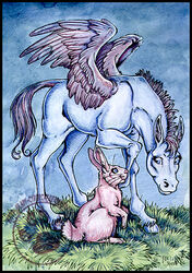  cybercat duo equid equine female female/female feral horse lagomorph leporid mammal mythological_creature mythological_equine mythology pasture pegasus rabbit simple_background sky wings 