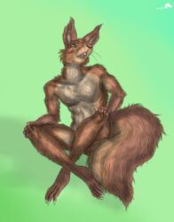  anthro brown_body brown_fur buckteeth buckteeth_(lower_incisors) conditional_dnp fluffy fluffy_tail fur green_background green_eyes hi_res male mammal nipples nude realistic red_body red_fur reza rodent sciurid simple_background solo tail teeth tree_squirrel whimsicalsquirrel whiskers 