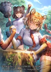  3girls animal_ear_fluff animal_ears animal_print arm_wrestling bear_ears blonde_hair blue_bow blue_neckwear blue_sky blush bow bowtie brown_bear_(kemono_friends) brown_eyes brown_gloves brown_hair brown_skirt clenched_teeth collared_shirt commentary_request day elbow_gloves extra_ears fingerless_gloves fist_pump garter_straps gloves kemono_friends kemono_friends_3 kemono_friends_3:_planet_tours multicolored_hair multiple_girls nature necktie official_art one_eye_closed out_of_frame outdoors paw_stick plaid plaid_bow plaid_neckwear plaid_skirt plaid_trim pleated_skirt print_gloves print_thighhighs shirt short_hair short_sleeves shorts shorts_under_skirt siberian_tiger_(kemono_friends) skirt sky striped_tail sweatdrop tail teeth thighhighs tiger_(kemono_friends) tiger_ears tiger_print tiger_tail tree ueo_(ueooo) v-shaped_eyebrows white_hair white_shirt wince yellow_eyes zettai_ryouiki 