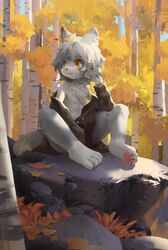  2022 aedbc anthro canid canine clothed clothing detailed_background forest fox fur hair hi_res leaf leaf_on_head looking_aside male mammal navel orange_eyes partially_clothed pawpads plant sitting smile solo tree white_body white_fur white_hair 