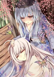  2girls ahoge alternate_costume blue_hair breasts brown_eyes cherry_blossoms closed_eyes commentary_request flower fujiwara_no_mokou hat headpat japanese_clothes kamishirasawa_keine long_hair medium_breasts multiple_girls obi on_lap open_mouth photoshop_(medium) rain_lan sash sleeping touhou very_long_hair white_hair 