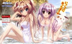  2girls absurdres amaha_miu barefoot breasts cleavage dengeki_g&#039;s feline hair_intakes highres magazine_scan mashiroiro_symphony medium_breasts multiple_girls naked_towel nii_manabu official_art onsen pan-nya purple_hair same-sex_bathing scan sena_airi shared_bathing towel two_side_up 