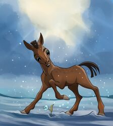  2020 almatea ambiguous_gender blue_eyes brown_body brown_hair brown_mane brown_tail cloud digital_media_(artwork) dolero equid equine eyebrows feral flower hair hi_res hooves horse lolicon looking_down mammal mane open_mouth plant raised_leg raised_tail snow snowing solo tail teeth young young_feral 