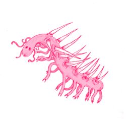  2020 ambiguous_gender bluedoodlings digital_drawing_(artwork) digital_media_(artwork) dot_eyes feral hallucigenia lobopod marine multi_leg multi_limb pink_body simple_background solo spikes spikes_(anatomy) spines tentacle white_background worm xenusiid 