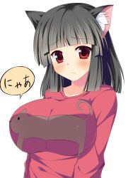  animal_ears asa_no_ha_(awayuki) black_hair blush breasts cat_ears commentary_request feline female huge_breasts medium_hair original photoshop_(medium) red_eyes solo 