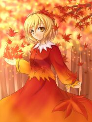  aki_shizuha autumn autumn_leaves bad_id bad_pixiv_id blonde_hair female hair_ornament leaf leaf_hair_ornament leaf_on_head light_smile long_sleeves musouzuki short_hair skirt skirt_set smile solo touhou tree yellow_eyes 