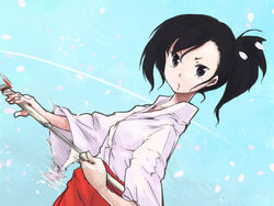  asymmetrical_hair black_eyes black_hair commentary_request female japanese_clothes long_hair mahou_sensei_negima! miko petals sakurazaki_setsuna sheath side_ponytail solo sword tsukino unsheathing weapon 