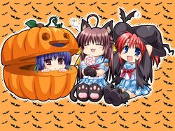  3girls 5pb. :3 ahoge akabeisoft2 animal_ears bat cat_ears chibi halloween hat highres hinata_natsumi jack-o&#039;-lantern mitsuhiro_sachi multiple_girls nekomimi oone_touka paws pumpkin school_uniform seifuku serafuku sharin_no_kuni_himawari_no_shoujo tail wallpaper witch witch_hat 