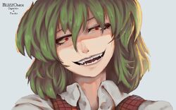  artist_name blizzomos collared_shirt commentary evil_smile eyelashes fangs female green_hair hair_between_eyes half-closed_eyes head_tilt highres kazami_yuuka looking_at_viewer open_mouth plaid plaid_vest portrait red_eyes red_vest shirt short_hair smile solo teeth touhou vest white_shirt wing_collar 