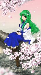  blue_eyes blush boots breasts cherry_blossoms coffee commentary_request cup detached_sleeves female frog frog_hair_ornament green_hair hair_ornament hair_tubes highres kochiya_sanae long_hair long_skirt medium_breasts petals photoshop_(medium) sitting skirt smile snake solo touhou tree umami_(sakeikura) water 