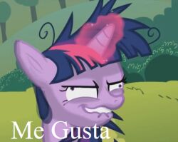  equid female friendship_is_magic hasbro insane low_res mammal me_gusta meme my_little_pony twilight_sparkle_(mlp) 