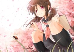  blurry brown_hair bug cherry_blossoms commentary_request depth_of_field female grass kneehighs ladybug looking_at_viewer naono original pencil petals photoshop_(medium) pink_eyes school_uniform serafuku short_twintails sketchbook skirt smile socks solo squatting tree twintails 