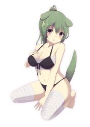  animal_ears bad_id bad_pixiv_id bandages barefoot bikini black_eyes dog_ears female green_hair long_hair nekomo original ponytail solo swimsuit tail 