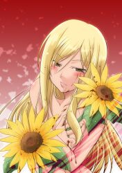  blonde_hair blood blood_on_breasts blood_on_face blush brown_eyes commentary_request female flower higurashi_no_naku_koro_ni holding holding_flower kazahana_chiruwo light_smile long_hair nude photoshop_(medium) simple_background solo sunflower takano_miyo 