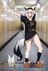  1other ahoge animal_ear_fluff animal_ears arm_behind_head asymmetrical_legwear black_hairband black_panties black_shirt black_socks blue_eyes blush breasts clothes_writing clothing_cutout collarbone commentary_request crossed_bangs dancing duplicate female fox_ears fox_girl fox_tail full_body hair_between_eyes hairband hallway highres hip_vent hololive long_hair looking_at_viewer loose_socks medium_breasts mr_thecatman no_pants oddloop official_alternate_costume outstretched_arm panties panty_peek photo_background shirakami_fubuki shirakami_fubuki_(loungewear) shirt side-tie_shirt sidelocks slippers socks standing star_(symbol) sukonbu_(shirakami_fubuki) t-shirt tail underwear uneven_legwear very_long_hair virtual_youtuber wavy_mouth white_hair 