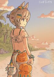  animal_ears aqua_bikini back bare_shoulders beach bikini bikini_under_clothes blue_eyes closed_mouth cloud commentary_request ear_scrunchie female green_bikini grey_hair hair_between_eyes hair_ornament highres holding holding_unworn_clothes holding_unworn_shoes horse_ears horse_girl horse_tail koshiba_taiyaki ocean official_alternate_costume orange_shorts outdoors seiun_sky_(nagisa_no_kimagure_orange)_(umamusume) seiun_sky_(umamusume) shirt shoes short_hair shorts sky smile solo sunset swimsuit tail umamusume unworn_shoes water white_shirt 