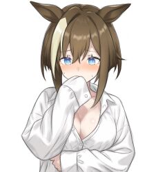 animal_ears blue_eyes blush breasts brown_hair cheval_grand_(umamusume) cleavage commentary_request female hair_between_eyes horse_ears horse_girl large_breasts long_sleeves looking_at_viewer multicolored_hair nanasedayoxd shirt simple_background solo streaked_hair sweat umamusume upper_body white_background white_hair white_shirt white_streaks 