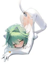  absurdres admiral_nakhimov_(azur_lane) all_fours animal_ears azur_lane back backless_bodysuit blush bodysuit breasts cat_ears cat_tail commentary fake_animal_ears fake_tail female green_hair hair_between_eyes highres invisible_floor janload1ng looking_at_viewer medium_breasts parted_lips shadow short_hair simple_background solo tail top-down_bottom-up white_background white_bodysuit world_of_warships yellow_eyes 