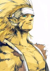  animal_ears animal_humanoid blonde_hair blue_eyes breath_of_fire capcom clothed clothing felid felid_humanoid feline feline_humanoid fur hair hi_res humanoid kannoaki long_hair looking_at_viewer male mammal mammal_humanoid muscular muscular_male open_clothing open_shirt open_topwear pecs rei_(breath_of_fire) shirt sleeveless_shirt solo stripped_markings topwear yellow_body yellow_fur 