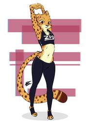  athletic_wear breasts brown_eyes cheetah chest_tuft clothed clothing countershading disney exercise_clothing felid feline female footwear fur hi_res jaff96 kii_catano looking_at_viewer mammal markings midriff navel simple_background small_breasts solo spots spotted_body spotted_fur stretching toeless_footwear tuft zootopia zpd 