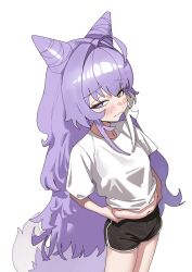  absurdres ahoge animal_ears black_shorts blue_eyes breasts carbonara_(user_jstu7878) closed_mouth commentary_request cone_hair_bun double_bun female fox_ears fox_girl fox_tail hair_bun hair_ears hair_intakes heterochromia highres korean_commentary long_hair long_sidelocks looking_at_viewer multicolored_hair pinching_own_belly purple_tail shirt shorts side_slit side_slit_shorts sidelocks simple_background small_breasts solo stellive streaked_hair tail tenko_shibuki two-tone_tail very_long_hair virtual_youtuber white_background white_shirt white_streaks white_tail yellow_eyes 
