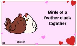  5:3 ambiguous_gender animated avian beak bird birdcheese black_eyes brown_body brown_feathers brown_fur chicken closed_eyes digital_media_(artwork) duo feathers feral fur galliform gallus_(genus) heart_symbol holidays low_res phasianid short_playtime simple_background valentine&#039;s_day white_body white_feathers white_fur 