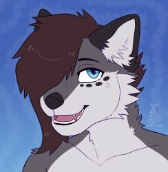  2023 anthro black_nose blue_eyes brown_hair canid canine canis cheek_tuft collarbone daniel_(danwolf14) digital_drawing_(artwork) digital_media_(artwork) eye_spots eyebrows facial_tuft hair hair_over_eye headshot_portrait hi_res kiwiiteatime looking_aside male mammal neck_tuft one_eye_obstructed open_mouth portrait signature solo spots tuft watermark wolf 