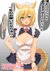  animal_ears apron bare_shoulders black_dress blonde_hair blue_hair blush bow breasts cleavage commentary_request dress female frilled_apron frills green_eyes highres horse_ears horse_girl horse_tail komb little_cocon_(umamusume) looking_at_viewer maid maid_apron maid_headdress medium_breasts multicolored_hair open_mouth short_hair streaked_hair tail umamusume waist_apron white_apron wrist_cuffs 