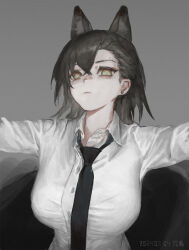  animal_ears arknights black_necktie breasts brown_hair closed_mouth extra_ears female hair_between_eyes highres large_breasts lingear long_hair long_sleeves looking_at_viewer mole mole_above_eye necktie penance_(arknights) shirt solo upper_body white_shirt wolf_ears wolf_girl yellow_eyes 