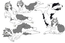  2015 2n2n aliasing ambiguous_gender border_collie canid canine canis collie digital_media_(artwork) domestic_dog feral greyscale herding_dog mammal monochrome pastoral_dog sheepdog sketch_page solo 