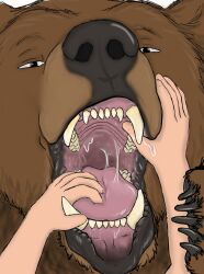  ambiguous_gender bear bodily_fluids brown_bear duo fangs feral first_person_view grizzly_bear hand_in_mouth hgythshs hi_res human larger_feral mammal mouth_play mouth_shot open_mouth saliva saliva_on_tongue saliva_string size_difference smaller_human teeth throat tongue ursine 