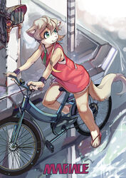  4_toes 5_fingers absurd_res anthro bicycle brown_hair clothed clothing cycling detailed_background domestic_cat feet felid feline felis female fingers footwear fur green_eyes hair hi_res inner_ear_fluff magiace mammal multicolored_body multicolored_fur outside shoes siamu_(magiace) solo street tan_body tan_fur toes tuft two_tone_body two_tone_fur vehicle water white_body white_fur 