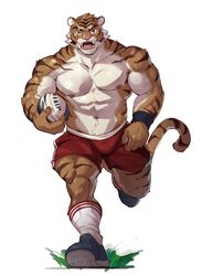  abs anthro biceps bottomwear clothing felid fur legwear male mammal muscular muscular_anthro muscular_male pantherine pecs scar selkiro solo tiger wristband 