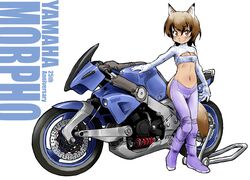  animal_ears anniversary boots breasts brown_eyes brown_hair cleavage cleavage_cutout clothing_cutout commentary_request copyright_name crop_top female fox_ears fox_girl fox_tail full_body gloves highres konkon long_sleeves midriff motor_vehicle motorcycle navel original pants purple_footwear purple_pants ribbed_shirt shirt small_breasts smile solo tail turtleneck white_gloves yamaha 