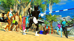  16:9 2023 3d_(artwork) abs anthro athletic athletic_anthro athletic_male ball beach biceps bikini bikini_top black_body black_fur black_scales black_stripes blue_body blue_eyes blue_scales bottomwear breasts brown_body brown_fur canid canine canis cat_(petruz) claws clothed clothing cutoffs denim denim_bottomwear denim_clothing detailed_background digital_media_(artwork) domestic_cat feet felid feline felis female fingers fish fluffy fluffy_tail fur grey_eyes group hi_res long_tail male mammal marine multicolored_body multicolored_fur multicolored_scales muscular muscular_anthro muscular_male one-piece_swimsuit orange_body orange_fur outside pantherine pecs petruz_(copyright) red_body red_fur scales seaside shark shorts source_filmmaker_(artwork) sport striped_body striped_fur stripes surfboard swimming_trunks swimwear tail tan_body tan_fur thick_thighs tiger tiger_(petruz) toes topless topless_anthro topless_male two_tone_body two_tone_fur two_tone_scales viper-desires volleyball volleyball_(ball) white_body white_fur white_scales wide_hips widescreen wolf wolf_(petruz) yellow_eyes 