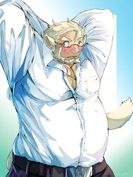  absurd_res animal_humanoid belly belt blonde_hair blush clothing dress_shirt eyewear glasses hair hi_res huckle humanoid lifewonders live_a_hero male musclegut muscular pecs raised_arms shimazanbagu shirt solo topwear 