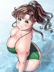  ass bikini bishoujo_senshi_sailor_moon breasts brown_hair cleavage female green_bikini green_eyes highres kenken28937178 kino_makoto large_breasts long_hair looking_at_viewer ponytail sailor_jupiter smile solo swimsuit 