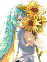  ahoge alternate_hairstyle aqua_eyes aqua_hair blonde_hair bouquet commentary covering_face female flower grey_shirt hair_between_eyes hair_down hatsune_miku holding holding_bouquet holding_flower long_hair looking_at_viewer looking_back multicolored_hair noneon319 shirt sidelocks simple_background sleeveless sleeveless_shirt solo sunflower two-tone_hair upper_body vocaloid white_background yellow_flower 