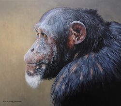  ambiguous_gender ape beard black_body black_fur chandlerwildlifeart chimpanzee facial_hair feral fur haplorhine mammal oil_painting_(artwork) orange_eyes painting_(artwork) pan_(genus) photorealism primate solo traditional_media_(artwork) 