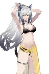  animal_ears arknights armpits arms_up bare_arms bare_shoulders bikini black_bikini black_choker breasts cat_ears cat_tail choker cleavage commentary cowboy_shot eugle_na female grey_hair hair_tie_in_mouth hand_in_own_hair hands_in_hair highres holding holding_own_hair large_breasts long_hair mouth_hold navel ponytail sarong schwarz_(arknights) simple_background solo standing stomach swimsuit tail thigh_strap thighs tying_hair very_long_hair white_background yellow_eyes 