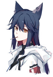  absurdres animal_ears arknights black_hair black_shirt chinese_commentary closed_mouth colored_inner_hair ear_piercing expressionless female food food_in_mouth fur-trimmed_hood fur_trim gemi_25 hair_between_eyes highres hood hooded_jacket jacket long_hair looking_at_viewer mouth_hold multicolored_hair orange_eyes piercing pocky pocky_in_mouth red_hair shirt simple_background solo straight_hair strap texas_(arknights) turtleneck two-tone_hair upper_body white_background white_jacket wolf_ears 