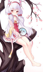  animal_ears azur_lane bare_legs barefoot bell blush bow branch chinese_clothes closed_mouth commentary_request dress fake_animal_ears female flower full_body hair_bell hair_ornament hairband hairbow hanfu highres holding holding_mirror irokari jacket jingle_bell laffey_(azur_lane) laffey_(white_rabbit_welcomes_the_spring)_(azur_lane) long_hair long_sleeves looking_at_viewer mirror official_alternate_costume pink_flower pink_jacket qixiong_ruqun rabbit_ears red_bow red_dress red_eyes red_hairband simple_background sitting sleeves_past_wrists smile solo twintails very_long_hair white_background white_hair 