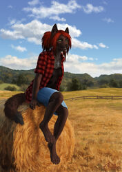  2020 absurd_res anthro bottomwear canid canine canis clothed clothing denim denim_bottomwear denim_clothing denim_skirt detailed digital_media_(artwork) digitigrade farm female flannel_shirt fully_clothed fur furgonomics green_eyes grey_body grey_fur grin hair hi_res hybrid irbeus jewelry mammal multicolored_hair necklace open_clothing open_shirt open_topwear outside ponytail red_body red_fur red_hair shirt sierra_blakely sitting skirt smile solo tail tail_through_skirt tank_top topwear wolf 