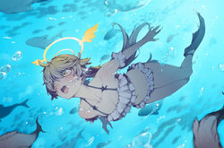  animal bikini blue_archive brown_hair collarbone commentary_request female fish frilled_bikini frills halo hifumi_(blue_archive) hifumi_(swimsuit)_(blue_archive) highres low_twintails official_alternate_costume open_mouth rou_(rou22) solo swimming swimsuit twintails underwater white_bikini yellow_eyes yellow_halo 