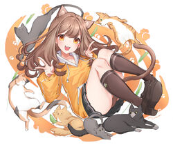  :d absurdres animal_ears black_cat black_footwear black_skirt black_socks brown_hair calico cat_ears cat_girl cat_tail extra_ears feline female full_body grey_cat high_heels highres hood hoodie kneehighs open_mouth orange_eyes orange_hoodie original paru_(parucom) paw_print school_uniform simple_background sitting skirt smile socks solo tail thighs uniform 