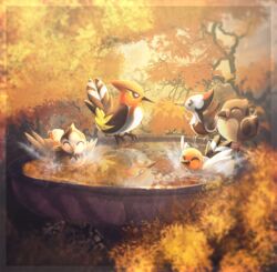  amura-of-jupiter animal_focus autumn bird bird_bath blurry border bright_pupils closed_eyes commentary english_commentary fletchinder fletchling happy no_humans pidove pikipek pokemon pokemon_(creature) reflection splashing starly transparent_border water white_pupils 