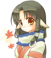  animal_ears black_hair blush brown_eyes dog_ears eruruu female long_hair lowres noriko_(pandora) solo utawarerumono 