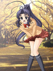  :o antenna_hair black_socks blazer blue_eyes blue_hair blush bow bowtie covering_crotch covering_privates embarrassed female hair_ribbon haruka_(sister_princess) high_ponytail jacket kneehighs knees_together_feet_apart leaf leaning_forward long_hair long_sleeves masakichi_(crossroad) open_mouth outdoors parted_bangs photo_background plaid plaid_skirt pleated_skirt ponytail red_bow red_bowtie red_skirt ribbon school_uniform sidelocks sister_princess skirt skirt_tug socks solo standing tree tress_ribbon v_arms very_long_hair wind wind_lift 