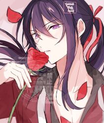  1boy commentary dated ensemble_stars! flower hair_between_eyes hair_ribbon hand_up highres holding holding_flower kanzaki_souma ko_no_ao long_hair looking_at_viewer male_focus necktie open_clothes open_shirt parted_lips petals ponytail purple_eyes purple_hair red_flower red_ribbon red_rose red_shirt ribbon rose rose_petals shirt signature solo undone_necktie untranslatable_commentary upper_body watermark white_necktie 
