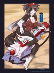  2022 3:4 5_fingers anthro beach black_body black_fur black_hair border_collie breasts canid canine canis cleavage clothed clothing collie domestic_dog elizabeth_(blobage) female fingers fluffy fluffy_tail fur hair herding_dog hi_res lifeguard long_hair looking_at_viewer lying mammal multicolored_body multicolored_fur multicolored_hair nipple_outline on_side one-piece_swimsuit outside pastoral_dog pawpads pink_pawpads purplelemons seaside sheepdog swimwear tail two_tone_body two_tone_fur two_tone_hair whistle_(object) whistle_in_mouth white_body white_fur white_hair yellow_eyes 